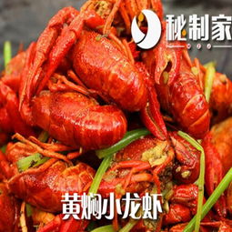 秘制家小龍蝦 創(chuàng)新產(chǎn)品展示與創(chuàng)業(yè)新機遇